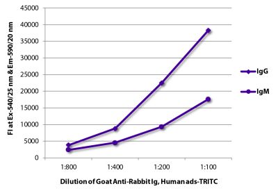 FLISA plate was coated with purified rabbit IgG and IgM.  Immunoglobulins were detected with serially diluted Goat Anti-Rabbit Ig, Human ads-TRITC (SB Cat. No. 4010-03).
