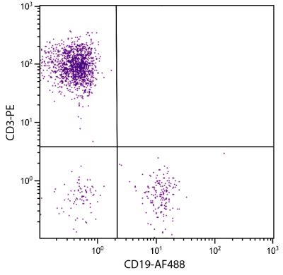 Human peripheral blood lymphocytes were stained with Mouse Anti-Human CD19-AF488 (SB Cat. No. 9340-30) and Mouse Anti-Human CD3-PE (SB Cat. No. 9515-09).