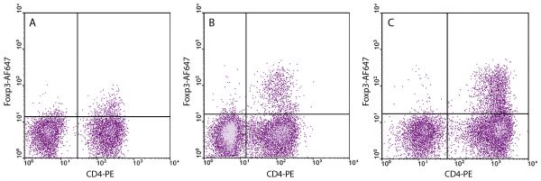 Human peripheral blood was stained with Mouse Anti-Human CD4-PE (SB Cat. No. 9522-09).  Cells were then fixed and permeabilized with Human Foxp3 Fixation/Permeabilization Kit (SB Cat. No. 0240-01) followed by staining with Mouse Anti-Human Foxp3-AF647 (SB Cat. No. 12200-31).<br/>A - Normal cells gated on small lymphocytes<br/>B - Normal cells stimulated with Mouse Anti-Human CD3-LE/AF (SB Cat. No. 9515-14)<br/>C - Lymphocytes from ovarian cancer patient