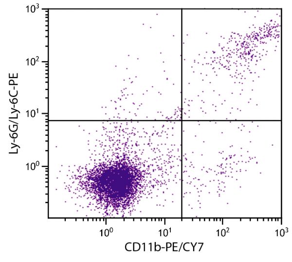 BALB/c mouse splenocytes were stained with Rat Anti-Mouse CD11b-PE/CY7 (SB Cat. No. 1560-17) and Rat Anti-Mouse Ly-6G/Ly-6C-PE (SB Cat. No. 1900-09).