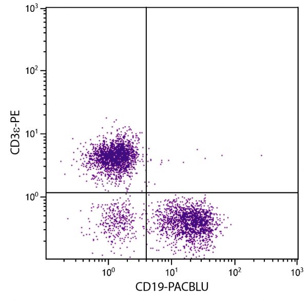 BALB/c mouse splenocytes were stained with Rat Anti-Mouse CD19-PACBLU (SB Cat. No. 1575-26) and Rat Anti-Mouse CD3ε-PE (SB Cat. No. 1535-09).