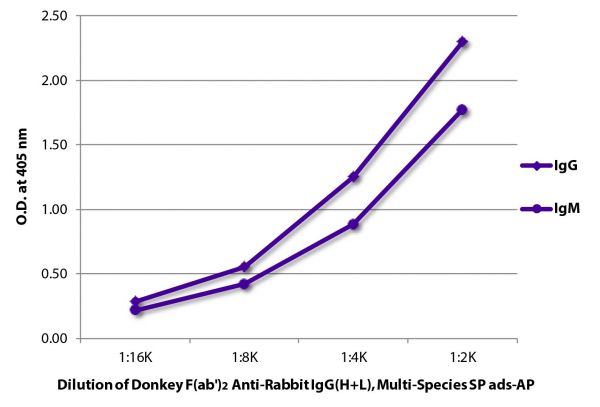 ELISA plate was coated with purified rabbit IgG and IgM. Immunoglobulins were detected with serially diluted Donkey F(ab')<sub>2</sub> Anti-Rabbit IgG(H+L), Multi-Species SP ads-AP (SB Cat. No. 6444-04).
