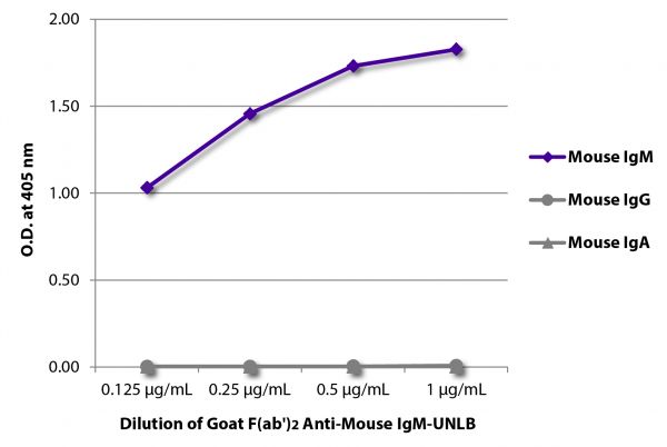 ELISA plate was coated with purified mouse IgM, IgG, and IgA. Immunoglobulins were detected with serially diluted Goat F(ab')<sub>2</sub> Anti-Mouse IgM-UNLB (SB Cat. No. 1023-01) followed by Swine Anti-Goat IgG(H+L), Human/Rat/Mouse SP ads-HRP (SB Cat. No. 6300-05).
