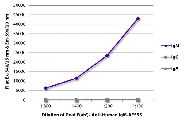 FLISA plate was coated with purified human IgM, IgG, and IgA. Immunoglobulins were detected with serially diluted Goat F(ab')<sub>2</sub> Anti-Human IgM-AF555 (SB Cat. No. 2022-32).