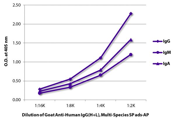 ELISA plate was coated with purified human IgG, IgM, and IgA. Immunoglobulins were detected with serially diluted Goat Anti-Human IgG(H+L), Multi-Species SP ads-AP (SB Cat. No. 2087-04).
