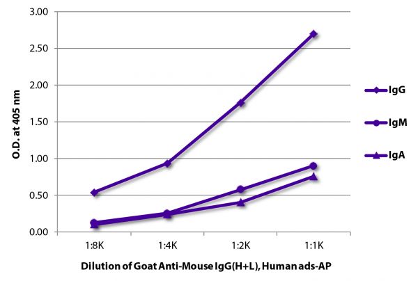 ELISA plate was coated with purified mouse IgG, IgM, and IgA.  Immunoglobulins were detected with serially diluted Goat Anti-Mouse IgG(H+L), Human ads-AP (SB Cat. No. 1031-04).