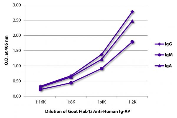 ELISA plate was coated with purified human IgG, IgM, and IgA. Immunoglobulins were detected with serially diluted Goat F(ab')<sub>2</sub> Anti-Human Ig-AP (SB Cat. No. 2012-04).