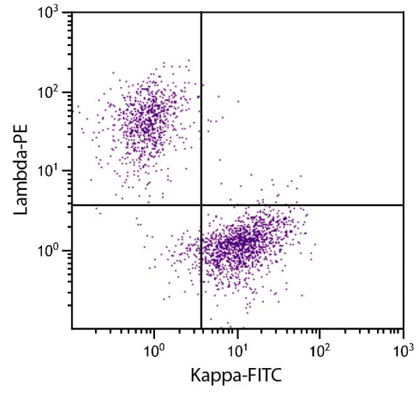 CD19+ human B-lymphocytes were stained with Goat F(ab')<sub>2</sub> Anti-Human Lambda-PE (SB Cat. 2072-09) and Goat F(ab')<sub>2</sub> Anti-Human Kappa-FITC (SB Cat. No. 2062-02).