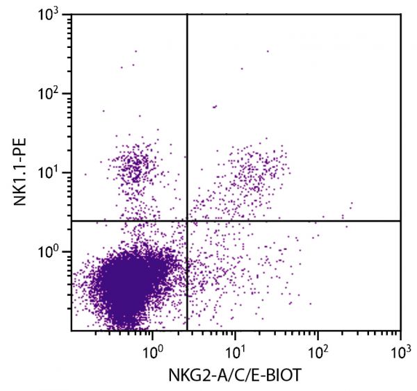 C57BL/6 mouse splenocytes were stained with Rat Anti-Mouse NKG2-A/C/E-BIOT (SB Cat. 1804-08) and Mouse Anti-Mouse NK1.1-PE (SB Cat. No. 1805-09) followed by Streptavidin-FITC (SB Cat. No. 7100-02).