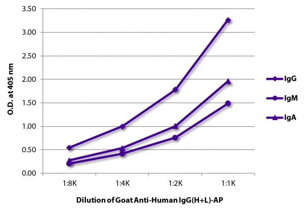 ELISA plate was coated with purified human IgG, IgM, and IgA. Immunoglobulins were detected with serially diluted Goat Anti-Human IgG(H+L)-AP (SB Cat. No. 2015-04).