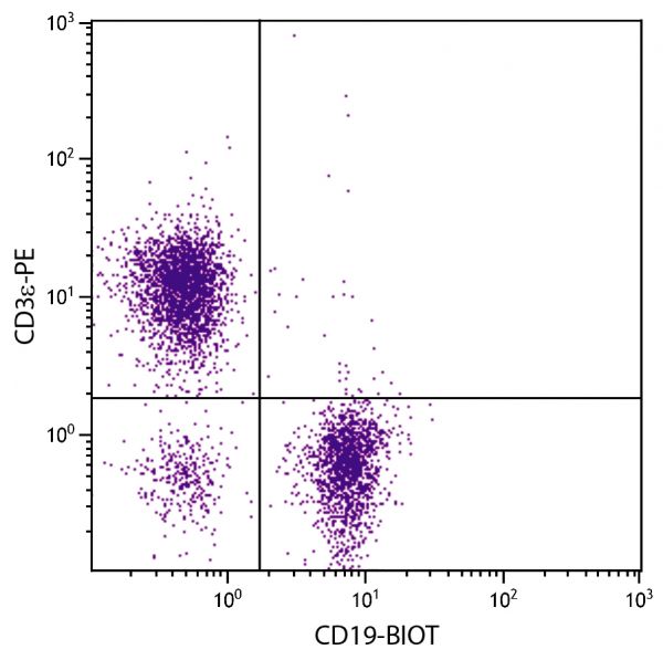 BALB/c mouse splenocytes were stained with Rat Anti-Mouse CD19-BIOT (SB Cat. No. 1575-08) and Rat Anti-Mouse CD3ε-PE (SB Cat. No. 1535-09) followed by Streptavidin-FITC (SB Cat. No. 7100-02).