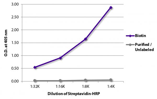 ELISA plate was coated with Goat Anti-Human IgG-BIOT (SB Cat. No. 2040-08) and purified/unlabeled Rat IgG<sub>1</sub>κ.  Biotin conjugated antibody and purified immunoglobulin were detected with serially diluted Streptavidin-HRP (SB Cat. No. 7105-05).