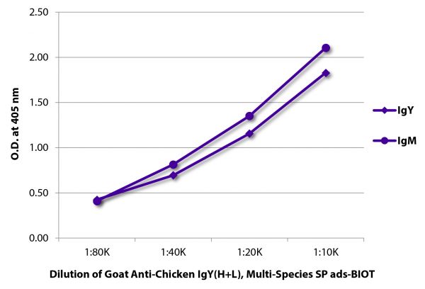 ELISA plate was coated with purified chicken IgY and IgM. Immunoglobulins were detected with Goat Anti-Chicken IgY(H+L), Multi-Species SP ads-BIOT (SB Cat. No. 6105-08) followed by Streptavidin-HRP (SB Cat. No. 7105-05).