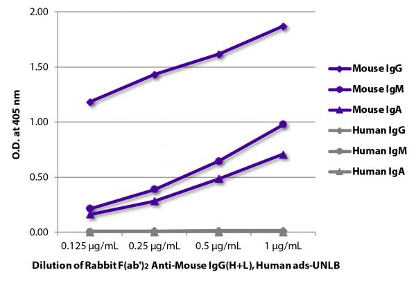 ELISA plate was coated with purified mouse IgG, IgM, and IgA and human IgG, IgM, and IgA. Immunoglobulins were detected with serially diluted Rabbit F(ab')<sub>2</sub> Anti-Mouse IgG(H+L), Human ads-UNLB (SB Cat. No. 6125-01) followed by Goat Anti-Rabbit IgG-HRP (SB Cat. No. 4030-05).