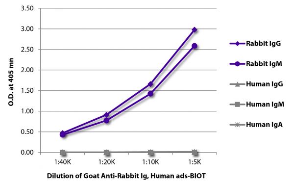 ELISA plate was coated with purified rabbit IgG and IgM and human IgG, IgM, and IgA. Immunoglobulins were detected with serially diluted Goat Anti-Rabbit Ig, Human ads-BIOT (SB Cat. No. 4010-08) followed by Streptavidin-HRP (SB Cat. No. 7100-05).