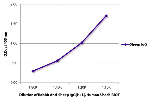 ELISA plate was coated with purified sheep IgG. Immunoglobulin was detected with Rabbit Anti-Sheep IgG(H+L), Human SP ads-BIOT (SB Cat. No. 6156-08) followed by Streptavidin-HRP (SB Cat. No. 7100-05).