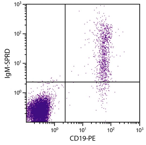 Human peripheral blood lymphocytes were stained with Mouse Anti-Human IgM-SPRD (SB Cat. No. 9022-13) and Mouse Anti-Human CD19-PE (SB Cat. No. 9340-09).