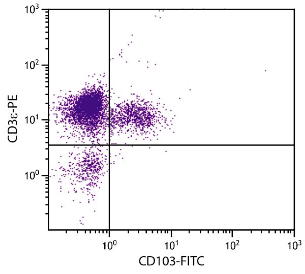 CD-1 mouse mesenteric lymph node cells were stained with Hamster Anti-Mouse CD103-FITC (SB Cat. No. 1810-02) and Rat Anti-Mouse CD3ε-PE (SB Cat. No. 1535-09).