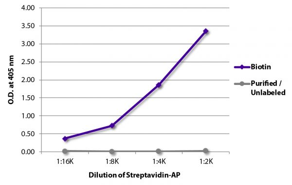 ELISA plate was coated with Goat Anti-Human IgG-BIOT (SB Cat. No. 2040-08) and purified/unlabeled Rat IgG<sub>1</sub>κ. Biotin conjugated antibody and purified immunoglobulin were detected with serially diluted Streptavidin-AP (SB Cat. No. 7105-04).