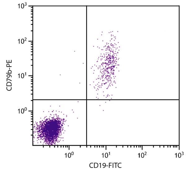 Human peripheral blood lymphocytes were stained with Mouse Anti-Human CD79b-PE (SB Cat. No. 9710-09) and Mouse Anti-Human CD19-FITC (SB Cat. No. 9340-02).