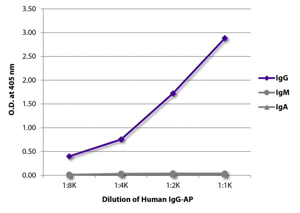 ELISA plate was coated with Goat Anti-Human IgG-UNLB (SB Cat. No. 2040-01), Goat Anti-Human IgM-UNLB (SB Cat. No. 2020-01), and Goat Anti-Human IgA-UNLB (SB Cat. No. 2050-01). Serially diluted Human IgG-AP (SB Cat. No. 0150-04) was captured and quantified.