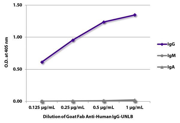 ELISA plate was coated with purified human IgG, IgM, and IgA.  Immunoglobulins were detected with serially diluted Goat Fab Anti-Human IgG-UNLB (SB Cat. No. 2041-01) followed by Swine Anti-Goat IgG(H+L), Human/Rat/Mouse SP ads-HRP (SB Cat. No. 6300-05).