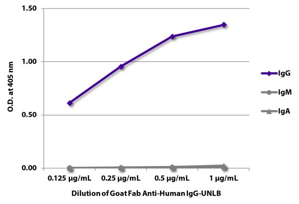 ELISA plate was coated with purified human IgG, IgM, and IgA. Immunoglobulins were detected with serially diluted Goat Fab Anti-Human IgG-UNLB (SB Cat. No. 2041-01) followed by Swine Anti-Goat IgG(H+L), Human/Rat/Mouse SP ads-HRP (SB Cat. No. 6300-05).