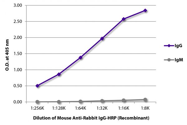 ELISA plate was coated with purified rabbit IgG and IgM.  Immunoglobulins were detected with serially diluted Mouse Anti-Rabbit IgG-HRP (Recombinant) - (SB Cat. No. 24090-05).