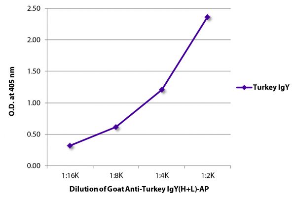 ELISA plate was coated with purified turkey IgY.  Immunoglobulin was detected with Goat Anti-Turkey IgY(H+L)-AP (SB Cat. No. 6110-04).