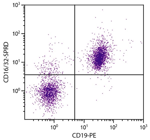 BALB/c mouse splenocytes were stained with Rat Anti-Mouse CD16/32-SPRD (SB Cat. No. 1630-13) and Rat Anti-Mouse CD19-PE (SB Cat. No. 1575-09).