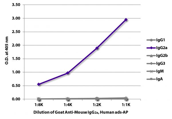 ELISA plate was coated with purified mouse IgG<sub>1</sub>, IgG<sub>2a</sub>, IgG<sub>2b</sub>, IgG<sub>3</sub>, IgM, and IgA. Immunoglobulins were detected with serially diluted Goat Anti-Mouse IgG<sub>2a</sub>, Human ads-AP (SB Cat. No. 1080-04).
