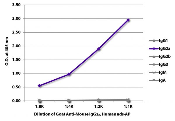 ELISA plate was coated with purified mouse IgG<sub>1</sub>, IgG<sub>2a</sub>, IgG<sub>2b</sub>, IgG<sub>3</sub>, IgM, and IgA.  Immunoglobulins were detected with serially diluted Goat Anti-Mouse IgG<sub>2a</sub>, Human ads-AP (SB Cat. No. 1080-04).