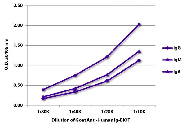 ELISA plate was coated with purified human IgG, IgM, and IgA.  Immunoglobulins were detected with serially diluted Goat Anti-Human Ig-BIOT (SB Cat. No. 2010-08) followed by Streptavidin-HRP (SB Cat. No. 7100-05).