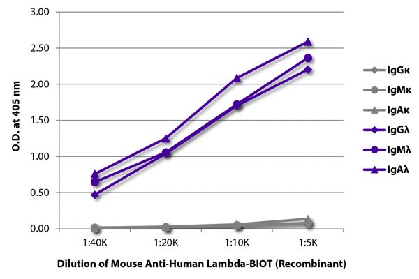 ELISA plate was coated with purified human IgGκ, IgMκ, IgAκ, IgGλ, IgMλ, and IgAλ.  Immunoglobulins were detected with serially diluted Mouse Anti-Human Lambda-BIOT (Recombinant) - (SB Cat. No. 29180-08) followed by Streptavidin-HRP (SB Cat. No. 7105-05).
