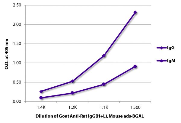 ELISA plate was coated with purified rat IgG and IgM.  Immunoglobulins were detected with serially diluted Goat Anti-Rat IgG(H+L), Mouse ads-BGAL (SB Cat. No. 3050-06).