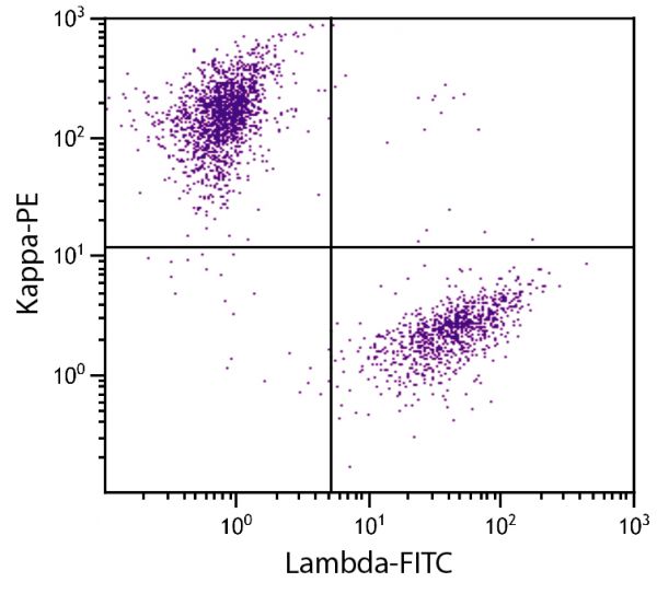 CD19+ human B-lymphocytes were stained with Goat Anti-Human Kappa, Mouse ads-PE (SB Cat. 2061-09) and Goat F(ab')<sub>2</sub> Anti-Human Lambda, Mouse ads-FITC (SB Cat. No. 2073-02).