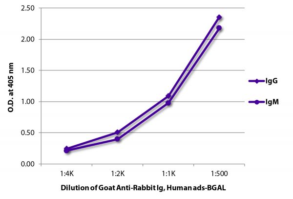 ELISA plate was coated with purified rabbit IgG and IgM.  Immunoglobulins were detected with serially diluted Goat Anti-Rabbit Ig, Human ads-BGAL (SB Cat. No. 4010-06).