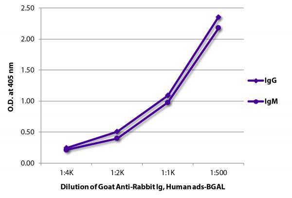 ELISA plate was coated with purified rabbit IgG and IgM. Immunoglobulins were detected with serially diluted Goat Anti-Rabbit Ig, Human ads-BGAL (SB Cat. No. 4010-06).