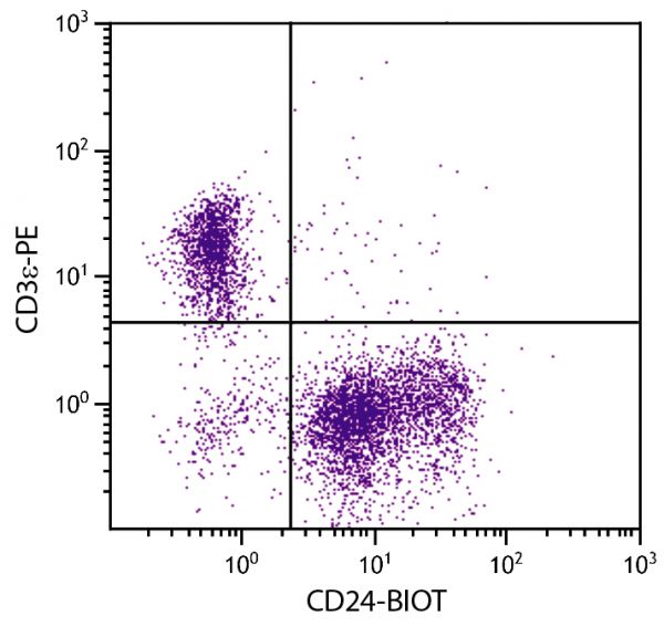 C57BL/6 mouse splenocytes were stained with Rat Anti-Mouse CD24-BIOT (SB Cat. No. 1590-08) and Rat Anti-Mouse CD3ε-PE (SB Cat. No. 1535-09) followed by Streptavidin-FITC (SB Cat. No. 7100-02).