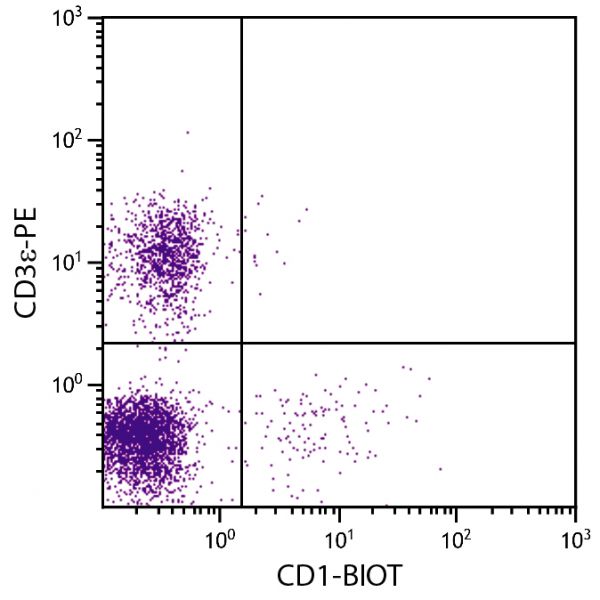 Porcine peripheral blood lymphocytes were stained with Mouse Anti-Porcine CD1-BIOT (SB Cat. No. 4500-08) and Mouse Anti-Porcine CD3ε-PE (SB Cat. No. 4510-09) followed by Streptavidin-FITC (SB Cat. No. 7100-02).