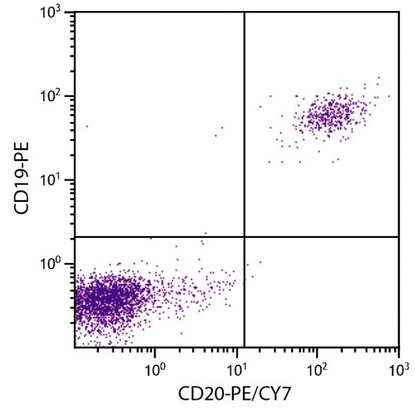Human peripheral blood lymphocytes were stained with Mouse Anti-Human CD20-PE/CY7 (SB Cat. No. 9350-17) and Mouse Anti-Human CD19-PE (SB Cat. No. 9340-09).