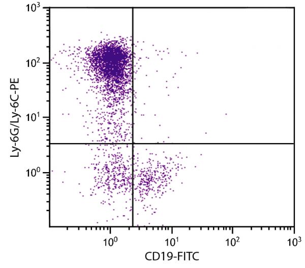 C57BL/6 mouse bone marrow cells were stained with Rat Anti-Mouse Ly-6G/Ly-6C-PE (SB Cat. No. 1900-09) and Rat Anti-Mouse CD19-FITC (SB Cat. No. 1575-02).