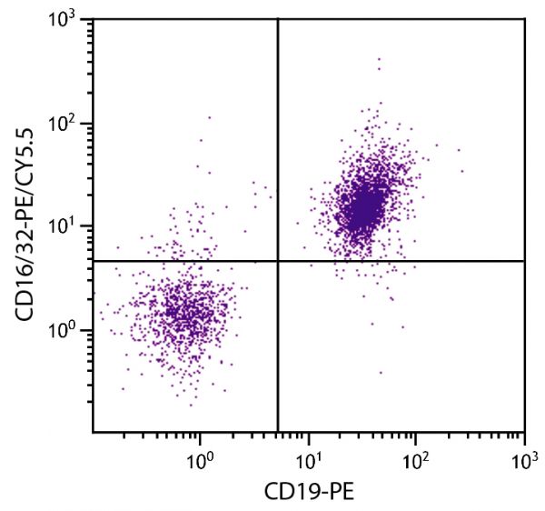 BALB/c mouse splenocytes were stained with Rat Anti-Mouse CD16/32-PE/CY5.5 (SB Cat. No. 1630-16) and Rat Anti-Mouse CD19-PE (SB Cat. No. 1575-09).