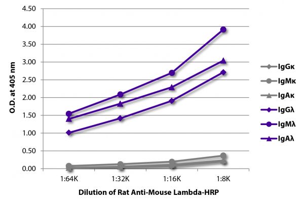 ELISA plate was coated with purified mouse IgGκ, IgMκ, IgAκ, IgGλ, IgMλ, and IgAλ.  Immunoglobulins were detected with serially diluted Rat Anti-Mouse Lambda-HRP (SB Cat. No. 1175-05).