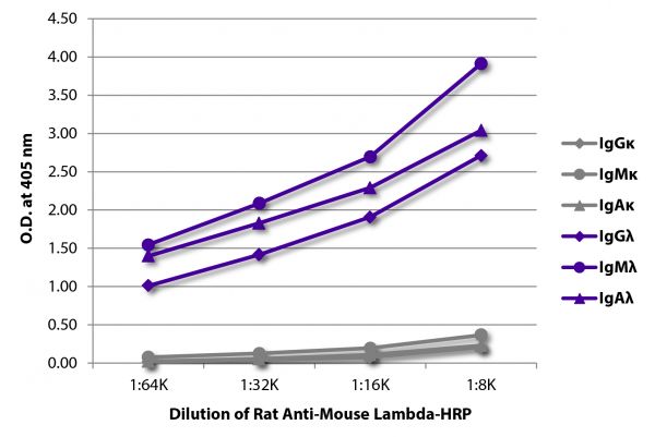 ELISA plate was coated with purified mouse IgGκ, IgMκ, IgAκ, IgGλ, IgMλ, and IgAλ. Immunoglobulins were detected with serially diluted Rat Anti-Mouse Lambda-HRP (SB Cat. No. 1175-05).