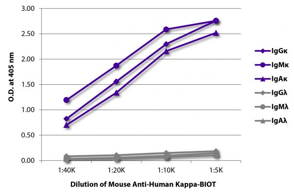 ELISA plate was coated with purified human IgGκ, IgMκ, IgAκ, IgGλ, IgMλ, and IgAλ. Immunoglobulins were detected with serially diluted Mouse Anti-Human Kappa-BIOT (SB Cat. No. 9230-08) followed by Streptavidin-HRP (SB Cat. No. 7100-05).