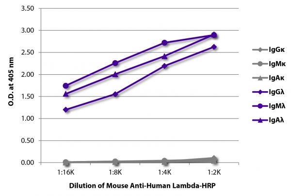 ELISA plate was coated with purified human IgGκ, IgMκ, IgAκ, IgGλ, IgMλ, and IgAλ. Immunoglobulins were detected with serially diluted Mouse Anti-Human Lambda-HRP (SB Cat. No. 9180-05).