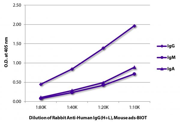 ELISA plate was coated with purified human IgG, IgM, and IgA. Immunoglobulins were detected with Rabbit Anti-Human IgG(H+L), Mouse ads-BIOT (SB Cat. No. 6145-08) followed by Strepatvidin-HRP (SB Cat. No. 7100-05).