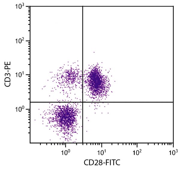 Chicken peripheral blood lymphocytes were stained with Mouse Anti-Chicken CD28-FITC (SB Cat. No. 8260-02) and Mouse Anti-Chicken CD3-PE (SB Cat. No. 8200-09).