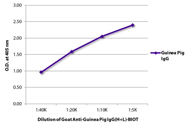 ELISA plate was coated with purified guinea pig IgG. Immunoglobulin was detected with Goat Anti-Guinea Pig IgG(H+L)-BIOT (SB Cat. No. 6090-08) followed by Streptavidin-HRP (SB Cat. No. 7100-05).